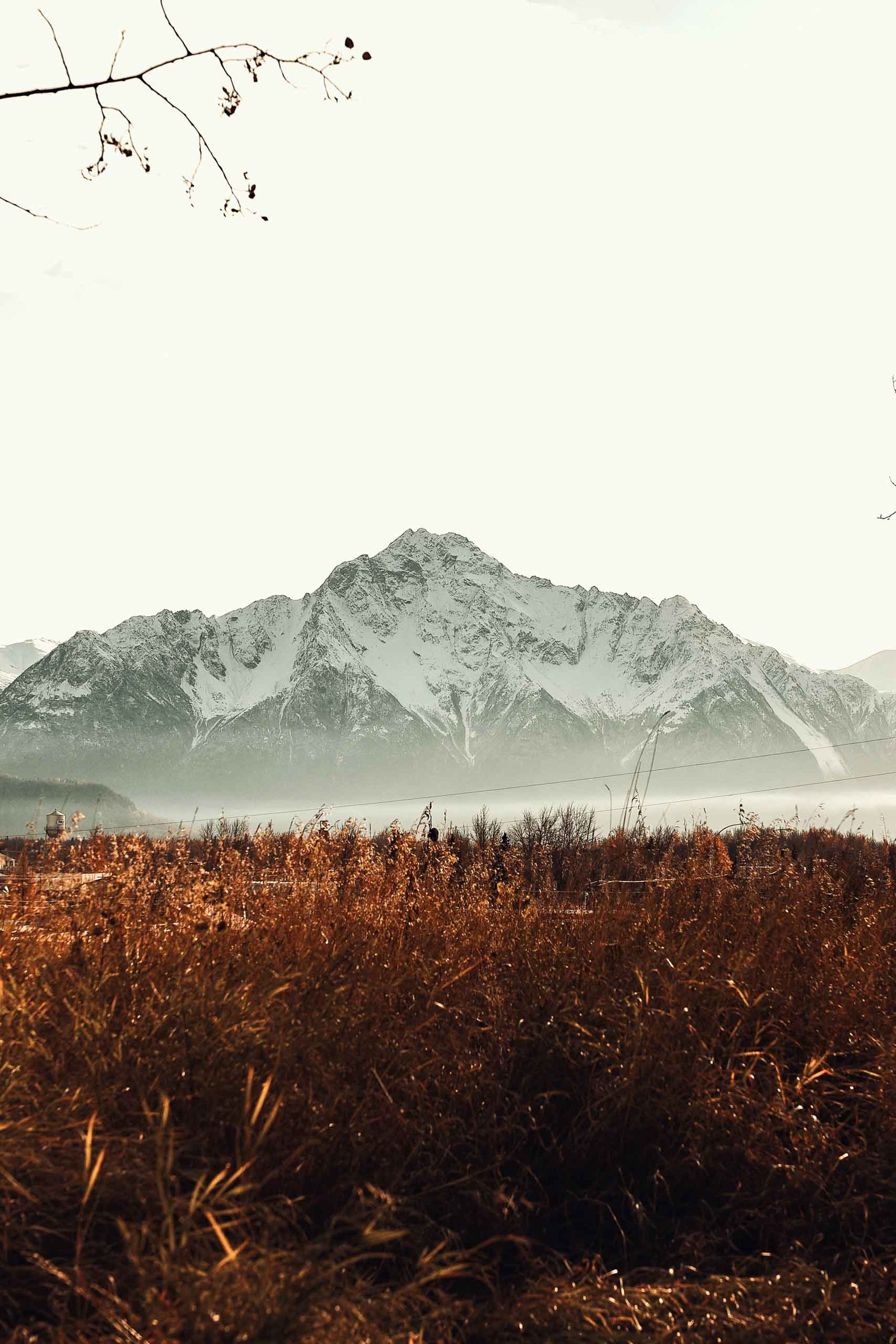 alaska-mountain